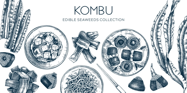Hand-drawn Kombu banner design in sketch style. Edible seaweed and sea vegetable illustrations. Healthy food vector background. Japanese cuisine restaurant menu design.